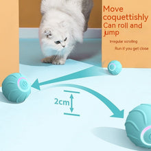 Smart Cat Toy