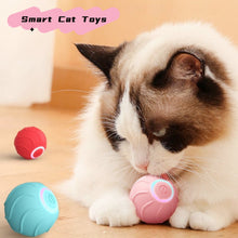 Smart Cat Toy